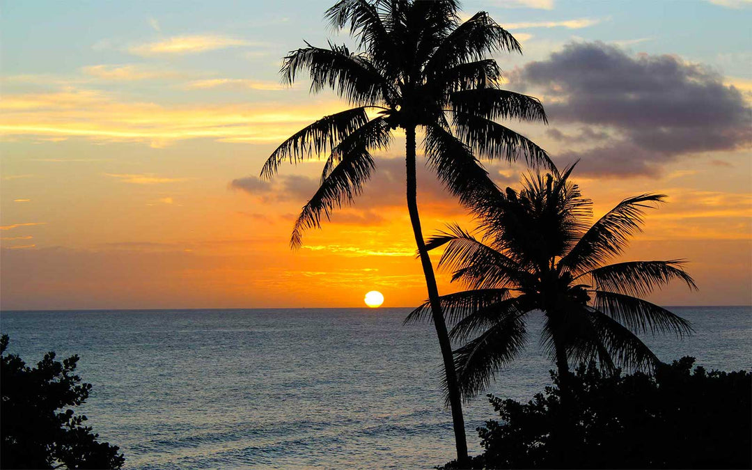 What is Aloha Friday? Unveiling The Magic Of The Island's Weekly Celebration